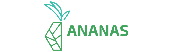 Ananas Insurance